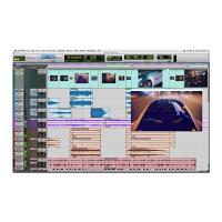 Avid Pro Tools - 12 Aylık Kullanım