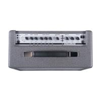 Blackstar Silverline Standard 20 Watt 10 Inch Combo Amfi (Silver)