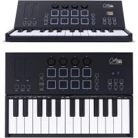 Blackstar Carry-On FC-25 25 Tuşlu Taşınabilir & Katlanabilir Midi Klavye (Siyah)
