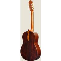 CAMPS M10S KLASİK GİTAR LADİN KAPAK