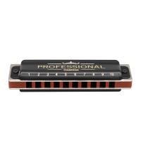 Cascha HH2161 Profesyonel Diatonic Blues Mızıka (La Majör)