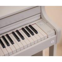 Casio AP-550WE Dijital Piyano (Beyaz)