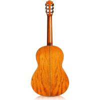 Cordoba C9 Parlor Klasik Gitar (Natural)