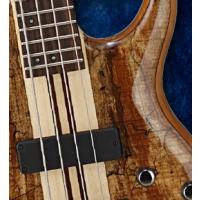 CORT A4 CUSTOM SPNAT BAS GİTAR ,  NATÜREL PARLAK, MANYETİKLER: Bartolin