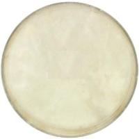 Cox Djembe Derisi 7,5inç  DER-B-75