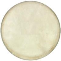 Cox Djembe Derisi 12 inç -  DER-DJ12