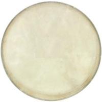 Cox Djembe Derisi 6 inç  DER-B-6
