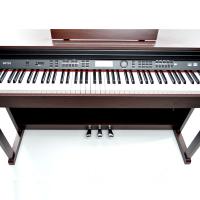 Dijital (Silent) Piyano Dominguez DP735WN