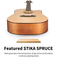 Donner DAD-140C Dreadnought Akustik Gitar Paketi (Natural)