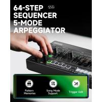 Donner Essential L1 Monofonik Synthesizer