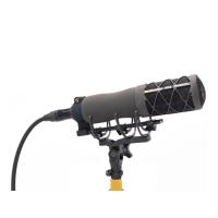 Earthworks Audio SV33 Studio Bundle