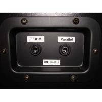 Engl E110 Gigmaster Elektro Gitar Kabini