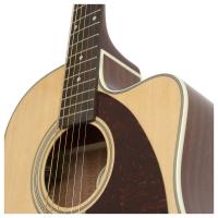 Epiphone AJ-210CE Elektro akustik Gitar (Natural)