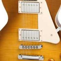Epiphone Les Paul Plus Top Pro Elektro Gitar (Honey Burst)