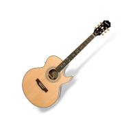 Epiphone PR5-E Elektro Akustik Gitar
