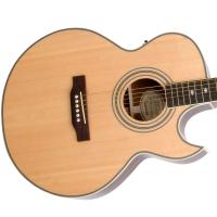 Epiphone PR5-E Elektro Akustik Gitar