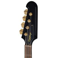Epiphone Rex Brown Signature Thunderbird Bas Gitar (Ebony)