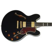 Epiphone Sheraton-II Pro Elektro Gitar (Ebony)