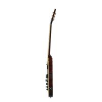 Epiphone Slash Les Paul Standard Elektro Gitar (Anaconda Burst)
