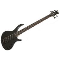 Epiphone Toby Deluxe V Bas Gitar (Ebony)