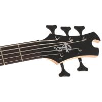 Epiphone Toby Deluxe V Bas Gitar (Ebony)