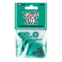 ERNIE BALL P09196 Evarlast  Yeşil/Mavi 2.0 mm 12'li Paket Pena