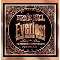 Ernie Ball P02546 Everlast Akustik Gitar Teli (MediumLight)