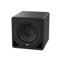 ESI Audio Aktiv 10s