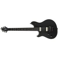 EVH Wolfgang USA LH Birdseye MN AA Quilt Top SBLK