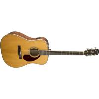 Fender PM-1 Std Dreadnought RW NAT