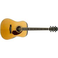 Fender PM-1 Deluxe Dreadnought EB NAT