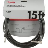 Fender Professional Inst SA 15