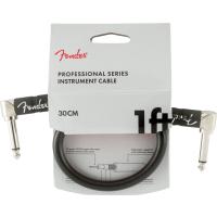 Fender Pro Inst AA 1