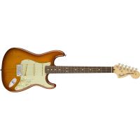 Fender USA Performer Strat RW HBST