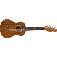 Fender Zuma Concert Uke WN NAT