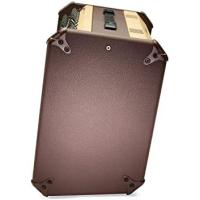 Fishman Loudbox Performer BT 180-Watt Akustik Amfi