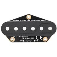 Fishman PRF-TEL-GK1 Greg Koch Signatura Fluence Telecaster Set