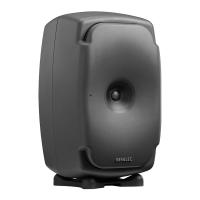 Genelec 8361A