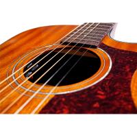 Guild D-120 Nat Elektro Akustik Gitar
