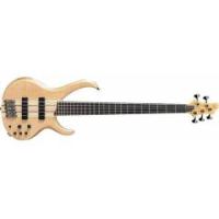 IBANEZ BTB1305ENTF BAS GİTAR KUTULU 5 TELLİ :IBANEZ KORE