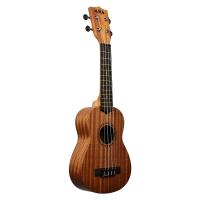 Kala Learn To Play Ukulele Başlangıç Seti