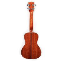 Kala SCG Concert Ukulele