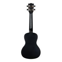 Kala Waterman Recycled Concert Ukulele (Black Sand)