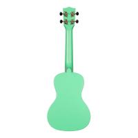 Kala Waterman Recycled Concert Ukulele (Sea Foam Green)