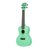 Kala Waterman Recycled Concert Ukulele (Sea Foam Green)