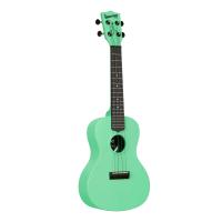 Kala Waterman Recycled Concert Ukulele (Sea Foam Green)