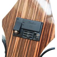 Kinglos DSDT  N1808 DSDT Series Elektro Çello