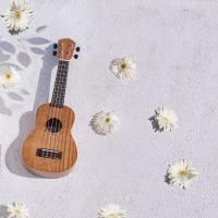 Kozmos KUK-110S / Soprano Ukulele