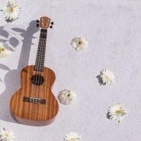 Kozmos KUK-110T / Concert Ukulele