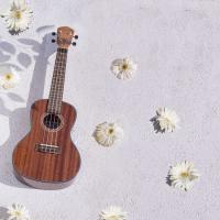 Kozmos KUK-CGL300 / Concert Ukulele